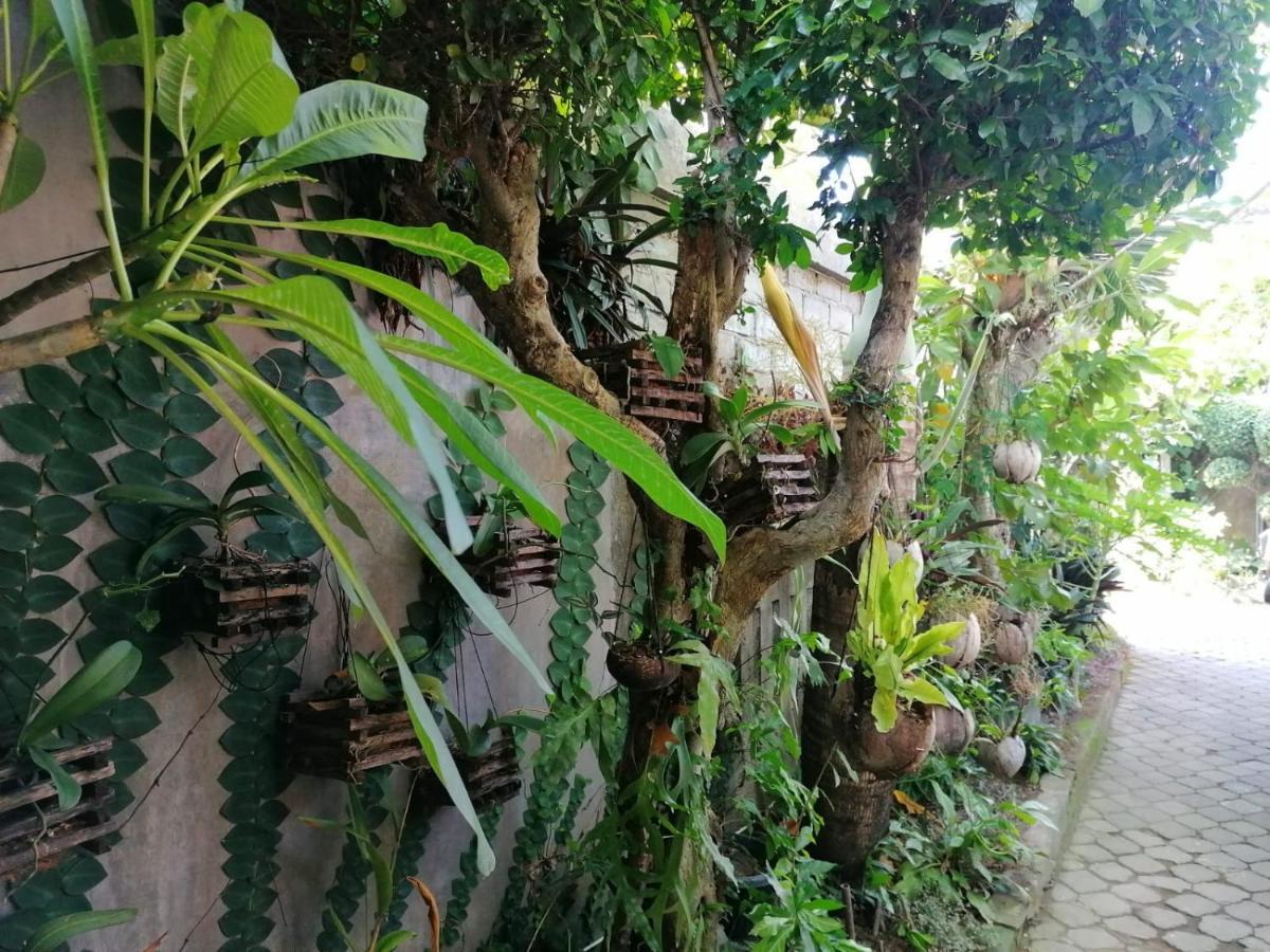 Coliving Bali Sweet Home Kost Lengkap Di Tabanan Kota Luaran gambar