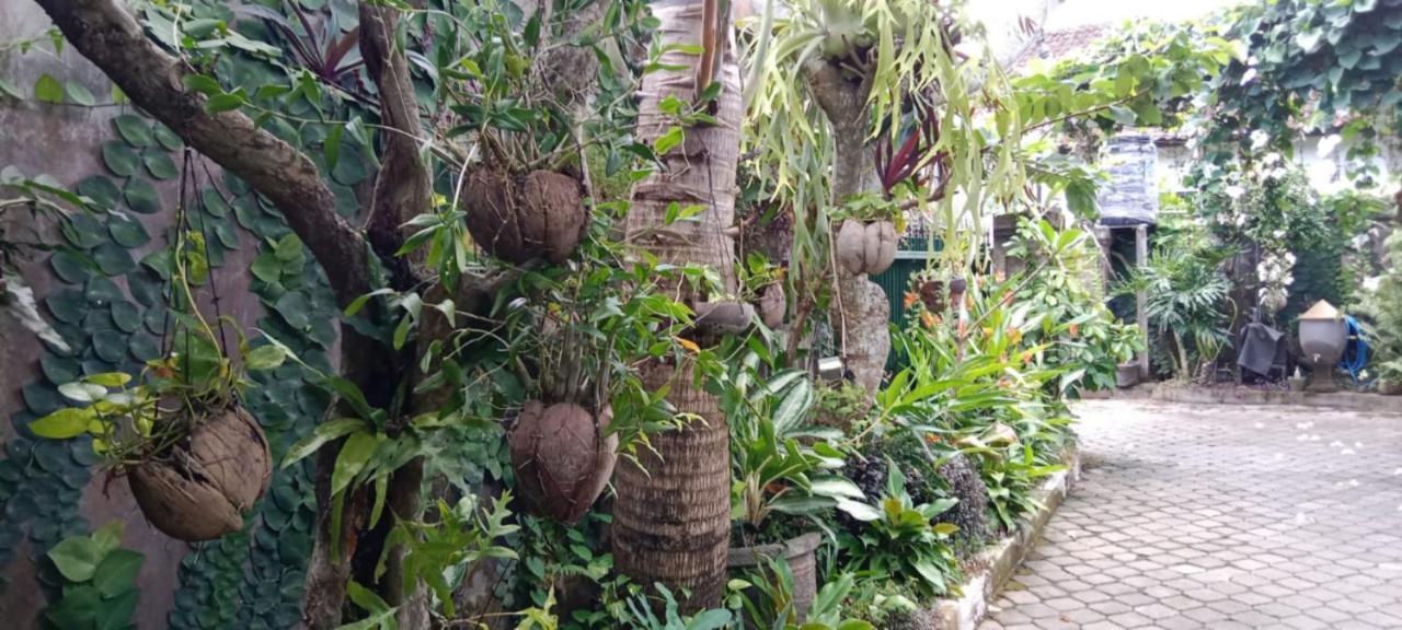 Coliving Bali Sweet Home Kost Lengkap Di Tabanan Kota Luaran gambar