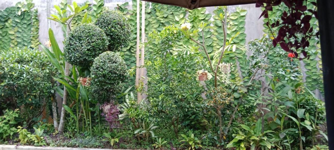Coliving Bali Sweet Home Kost Lengkap Di Tabanan Kota Luaran gambar