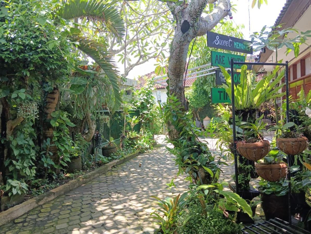 Coliving Bali Sweet Home Kost Lengkap Di Tabanan Kota Luaran gambar