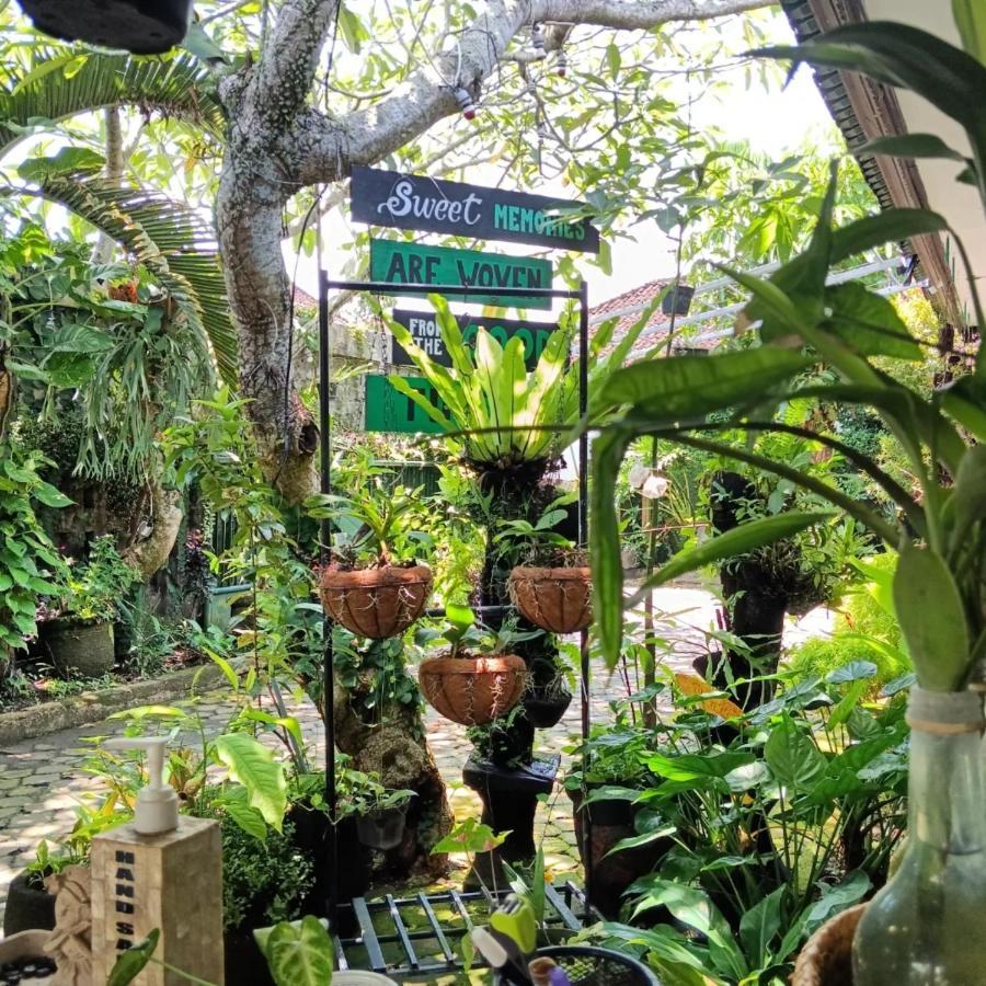 Coliving Bali Sweet Home Kost Lengkap Di Tabanan Kota Luaran gambar