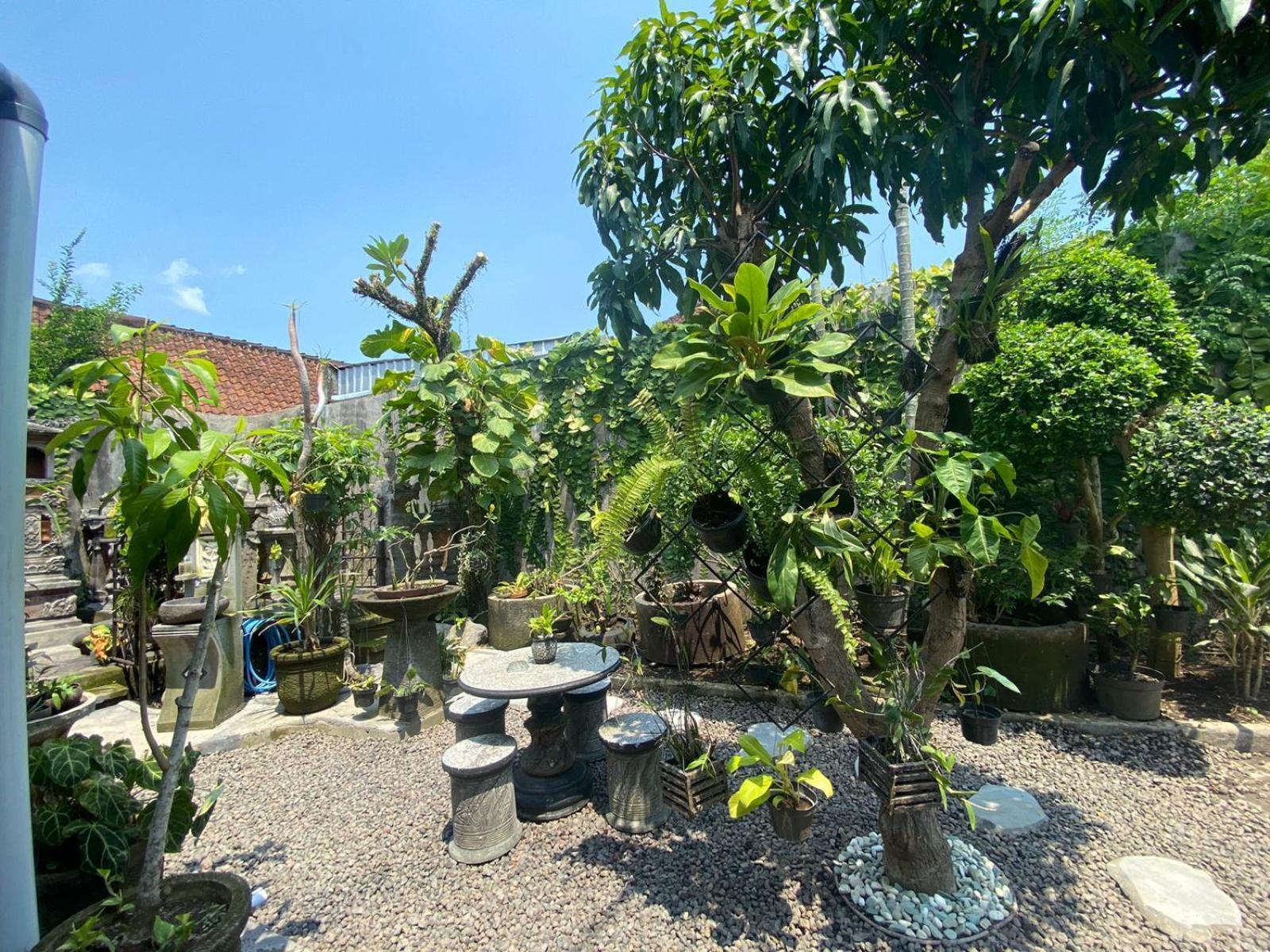 Coliving Bali Sweet Home Kost Lengkap Di Tabanan Kota Luaran gambar