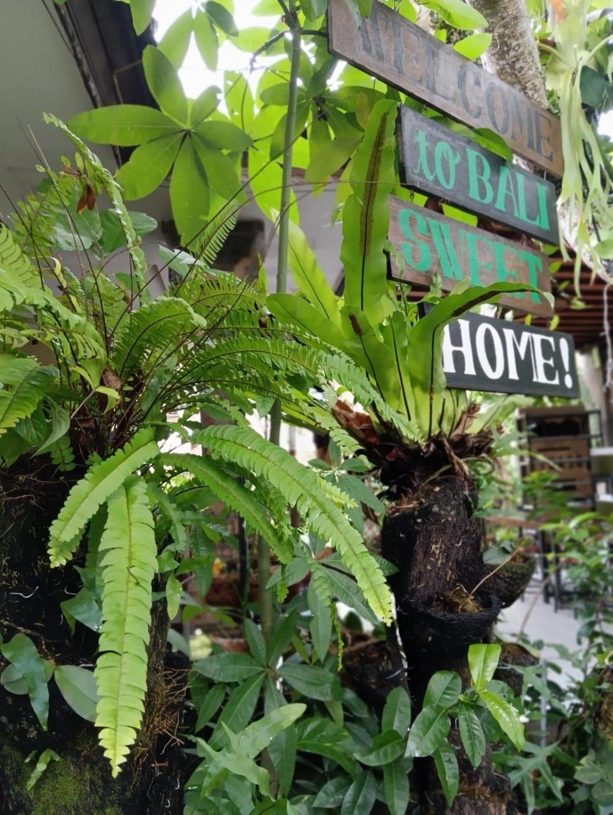 Coliving Bali Sweet Home Kost Lengkap Di Tabanan Kota Luaran gambar